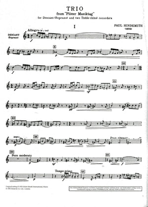 Trio from Ploner Musiktag Parts