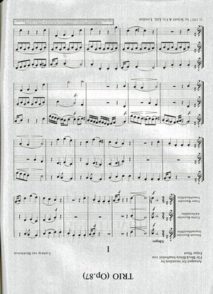 Trio Op 87