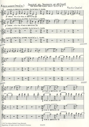 Pensieri del tramonto op.107