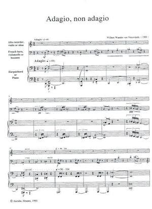 Adagio Non Adagio