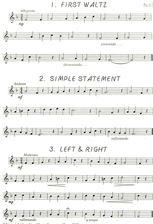 Descant Recorder Studies Book 3: 24 Melodic Studies