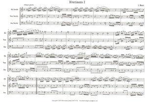 Divertimento No. 1 in G Major for ATB Trio