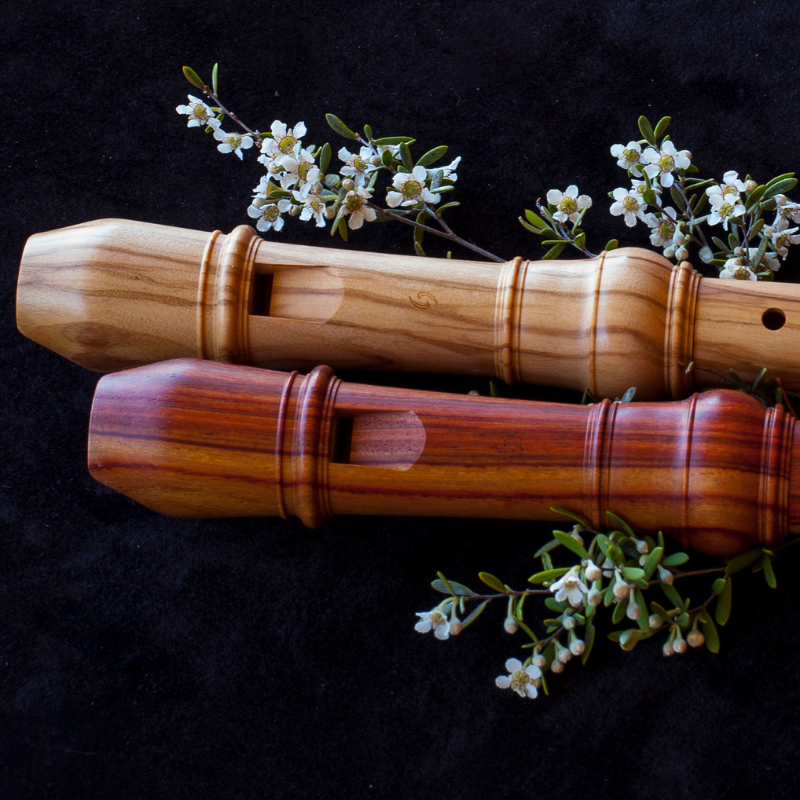 Recorder Care Guide