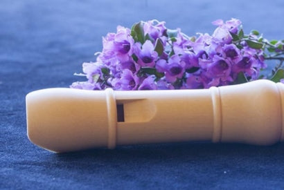 Upgrading to a wooden recorder?