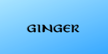 Ginger