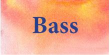 Recorder Tutor ~ Bass