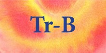 Duet ~ Treble & Bass