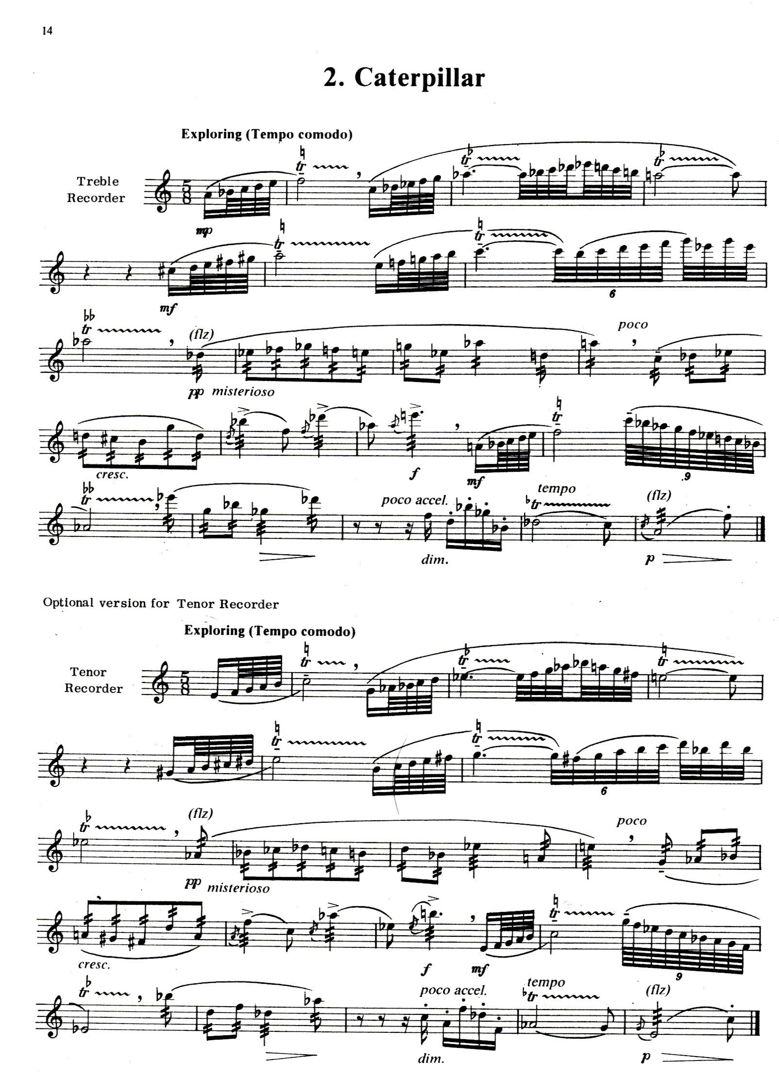 Pieces for Solo Recorder Volume 2: Eleven Original Concert Works