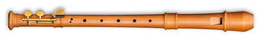 Modern Treble in G Pearwood