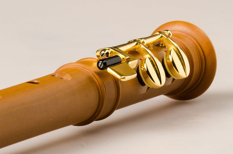 Modern Treble in G Pearwood