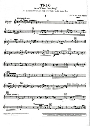 Trio from Ploner Musiktag Parts