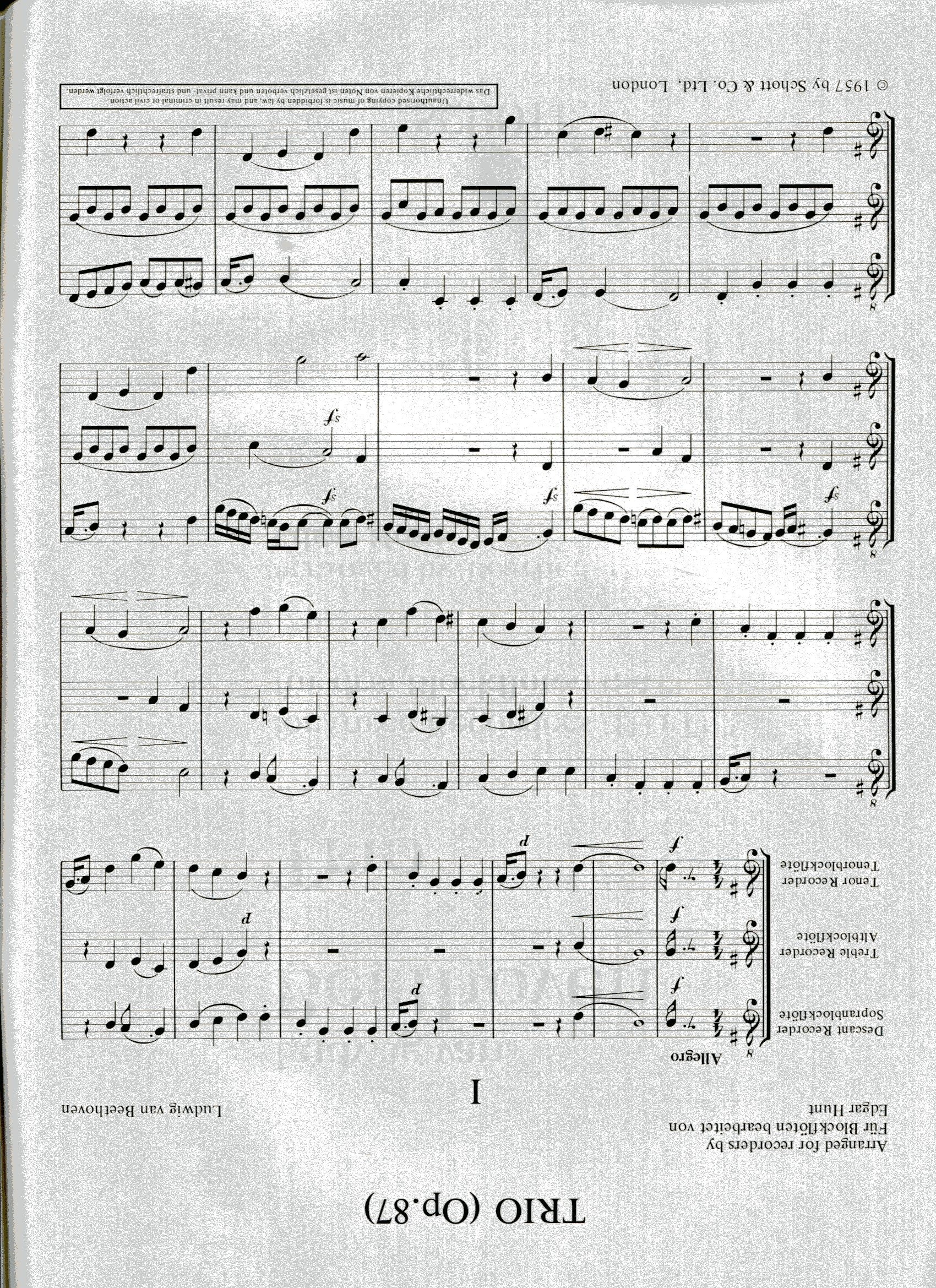 Trio Op 87