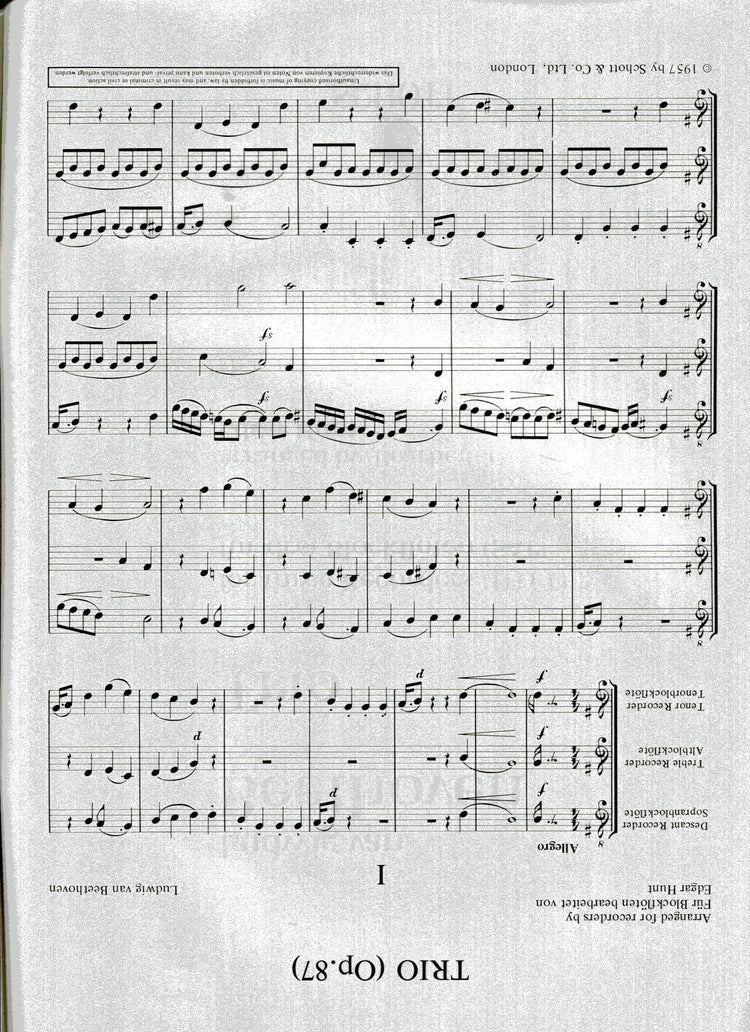 Trio Op 87