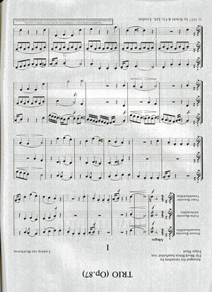 Trio Op 87