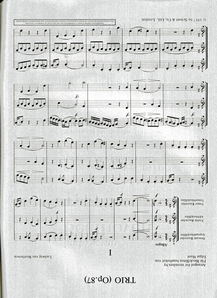 Trio Op 87