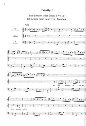 Bach Cantatas Vol. 3 During the Church Calendar Year