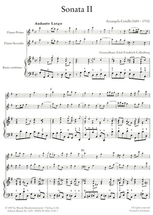 Sonata 2 after Concerto Grossi for Two Recorders