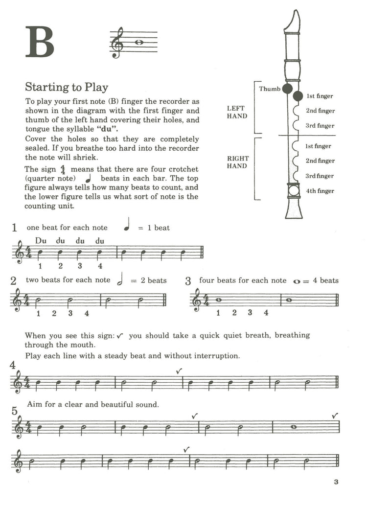 Recorder Playing