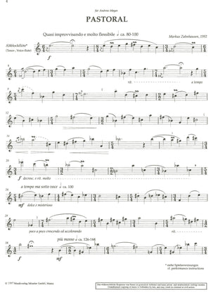 Lyric Scenes 3 Fantasias for Alto recorder