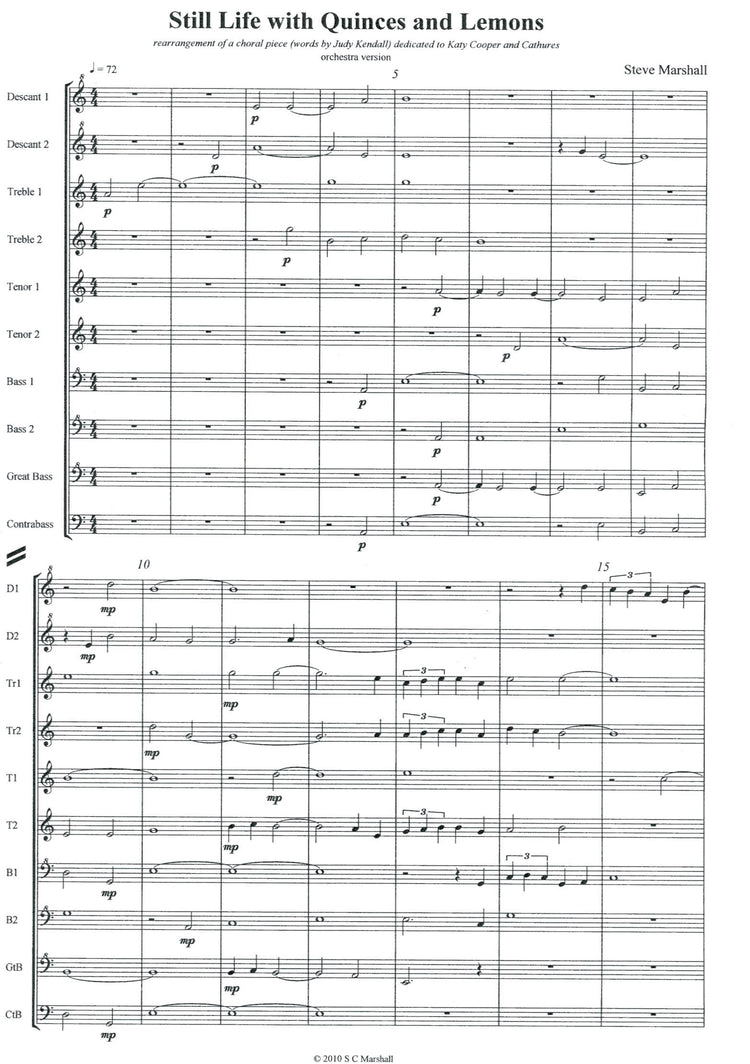 Still Life with Quinces and Lemons