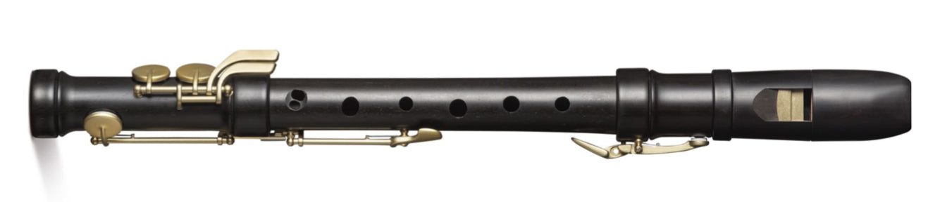 Special Treble Recorder in stained castello boxwood