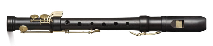 Special Treble Recorder in stained castello boxwood