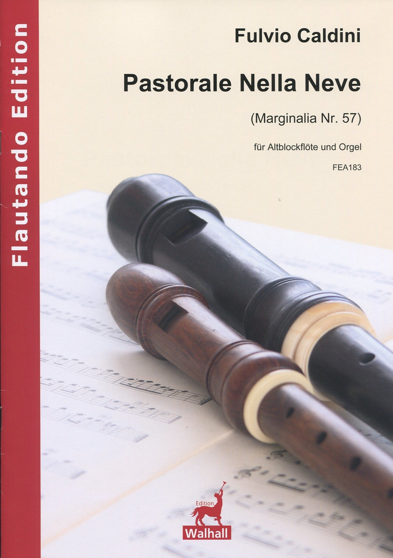 Pastorale Nella Neve