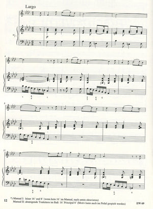 Concerto in f minor