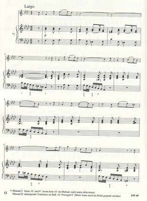 Concerto in f minor