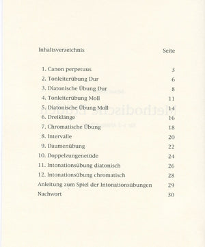 Methodical Studies