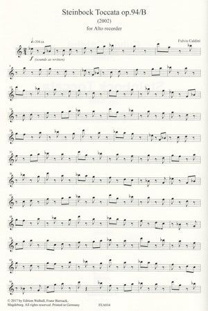 Steinbock Toccata