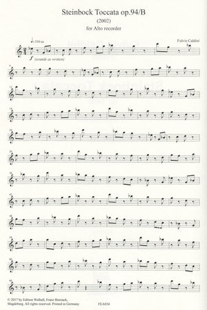Steinbock Toccata