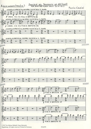 Pensieri del tramonto op.107