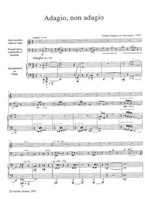 Adagio Non Adagio