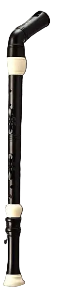Bass Recorder