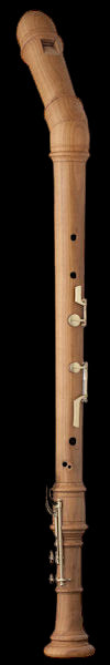 Superio Knick Bass in Cherry