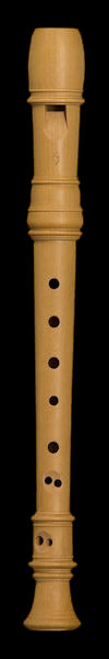Denner Sopranino Recorder in Castello Boxwood