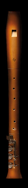 Elody Sunburst Treble Recorder