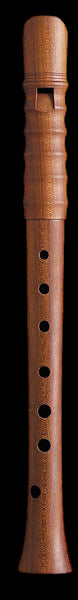 Kynseker Descant Recorder in Plumwood