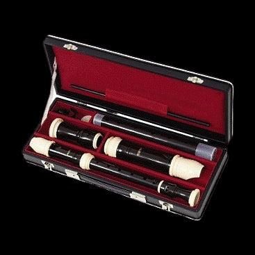 Aulos C539 Symphony Set with C503 and C509