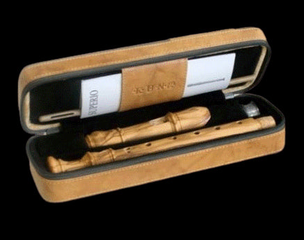 Descant Recorder Case