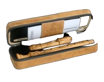 Descant Recorder Case