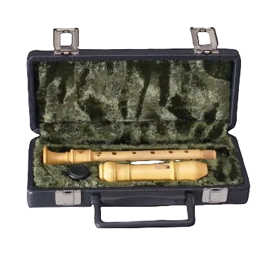 Descant Recorder Hard Case