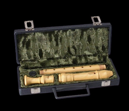Treble Recorder Hard Case