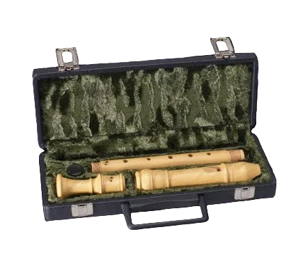 Treble Recorder Hard Case