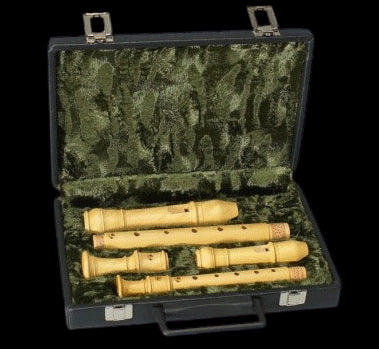 Descant & Treble Recorder Hard Case