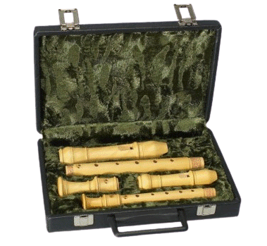 Descant & Treble Recorder Hard Case