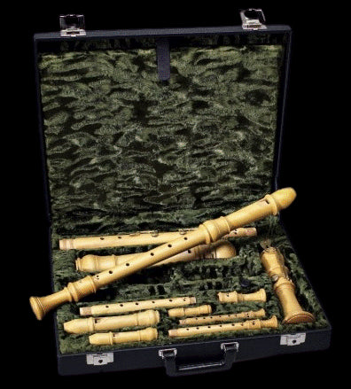Sopranino/Descant/Treble/Tenor/Bass Recorder Hard Case