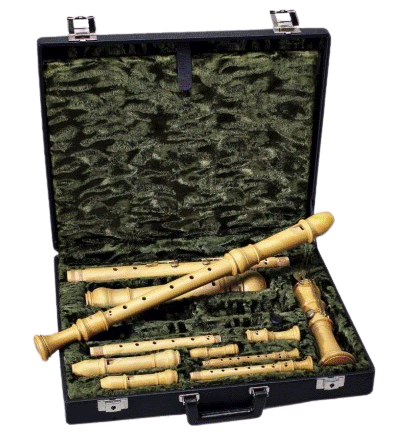 Sopranino/Descant/Treble/Tenor/Bass Recorder Hard Case