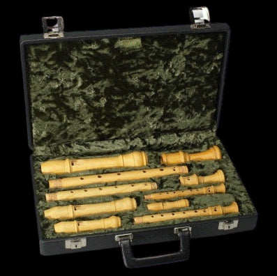 Sopranino/Descant/Treble/Tenor Recorder Hard Case (with Lock)